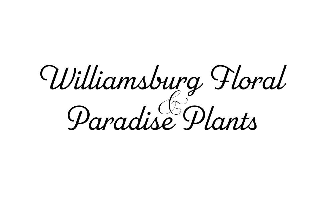 Williamsburg Floral & Paradise Plants - Logo